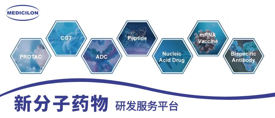 JDB电子新分子药物研发服务平台