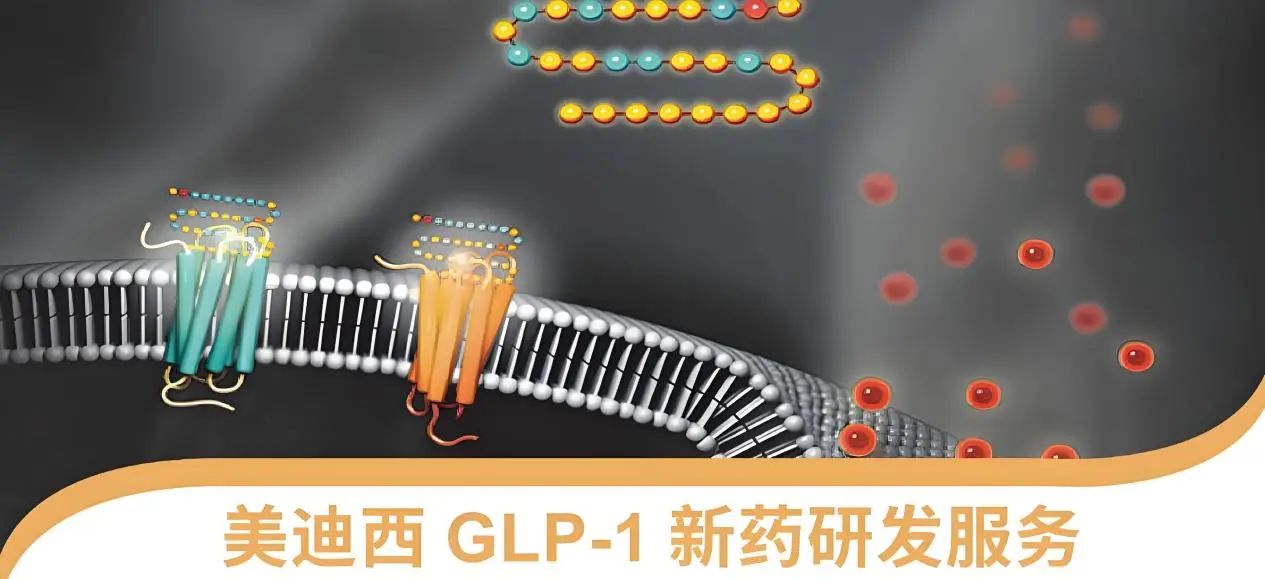 70.5%的成人在偷偷长胖！国度卫健委“减肥令”下，GLP-1药物若何得救？