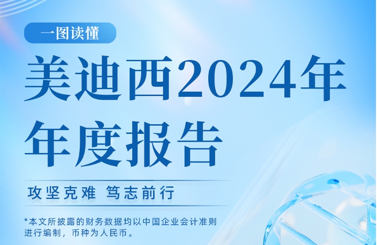 JDB电子2024年年度汇报