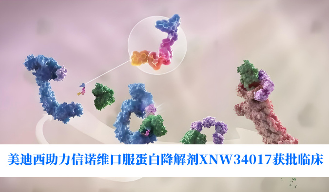 JDB电子助力合作同伴信诺维口服蛋白降解剂XNW34017获批临床