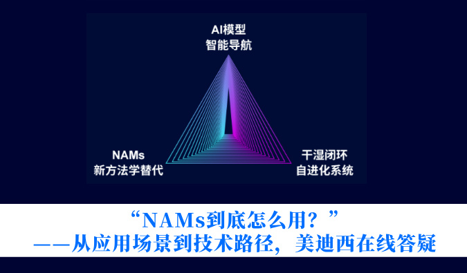 “NAMs到底怎么用？”——从利用场景到技术蹊径，JDB电子在线答疑