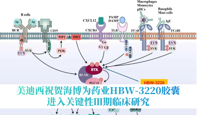 破解耐药性难题，JDB电子祝贺海博为药业HBW-3220胶囊进入关键性Ⅲ期临床钻研